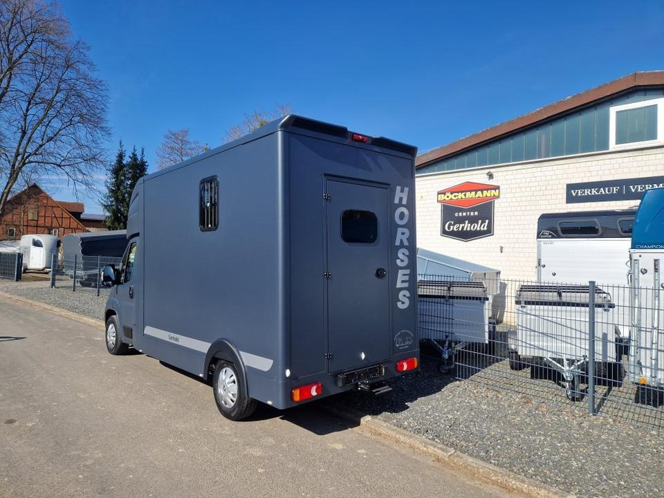 MSG Stablehopper Pferdetransporter Pferdeanhänger Böckmann - משאית סוסים: תמונה 4 MSG Stablehopper Pferdetransporter Pferdeanhänger Böckmann - משאית סוסים: תמונה 4