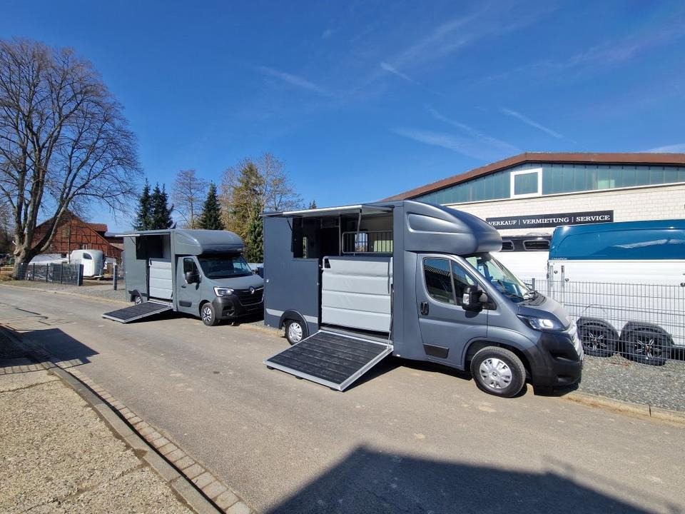 MSG Stablehopper Pferdetransporter Pferdeanhänger Böckmann - משאית סוסים: תמונה 1 MSG Stablehopper Pferdetransporter Pferdeanhänger Böckmann - משאית סוסים: תמונה 1