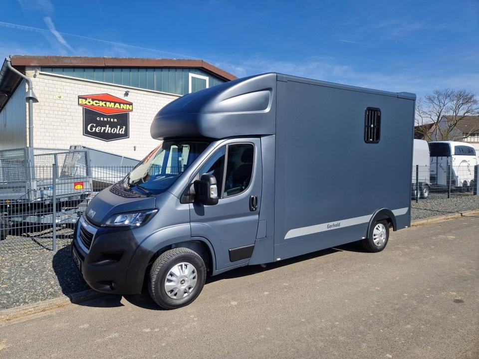 MSG Stablehopper Pferdetransporter Pferdeanhänger Böckmann - משאית סוסים: תמונה 2 MSG Stablehopper Pferdetransporter Pferdeanhänger Böckmann - משאית סוסים: תמונה 2