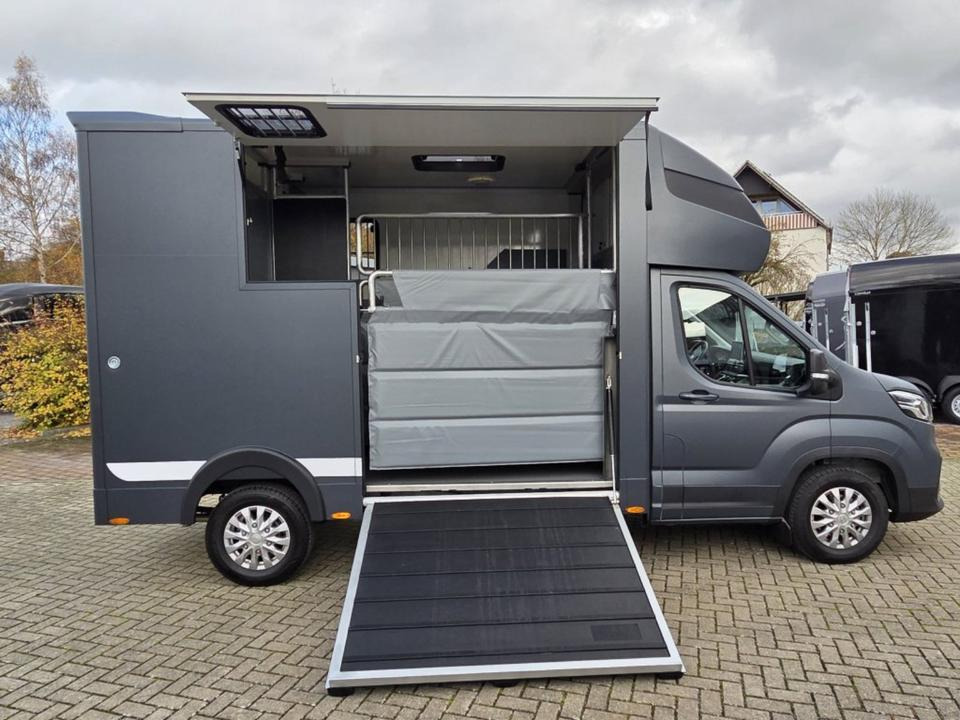 MSG Stablehopper Pferdetransporter Pferdeanhänger Böckmann - משאית סוסים: תמונה 3 MSG Stablehopper Pferdetransporter Pferdeanhänger Böckmann - משאית סוסים: תמונה 3