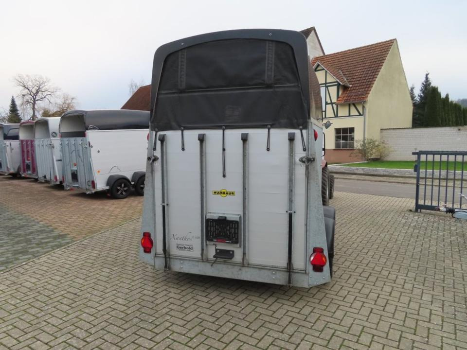 Pferdeanhänger Humbaur, Xanthos Aero, 100 km/h Sattelkammer - קרון נגרר לסוסים: תמונה 4 Pferdeanhänger Humbaur, Xanthos Aero, 100 km/h Sattelkammer - קרון נגרר לסוסים: תמונה 4