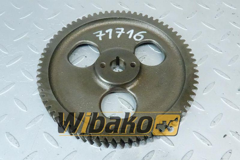 Injection pump gear Cummins 4932637 - מזרק עבור מכונת בנייה: תמונה 1 Injection pump gear Cummins 4932637 - מזרק עבור מכונת בנייה: תמונה 1