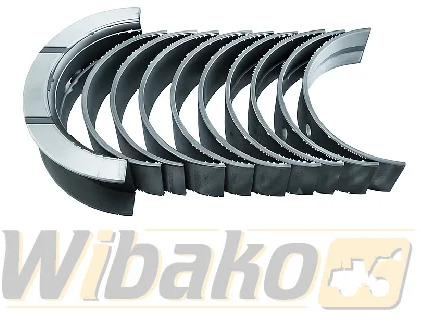 KMP 4BT3.9/6BT5.9 4955857 - מסב מנוע עבור מכונת בנייה: תמונה 1 KMP 4BT3.9/6BT5.9 4955857 - מסב מנוע עבור מכונת בנייה: תמונה 1