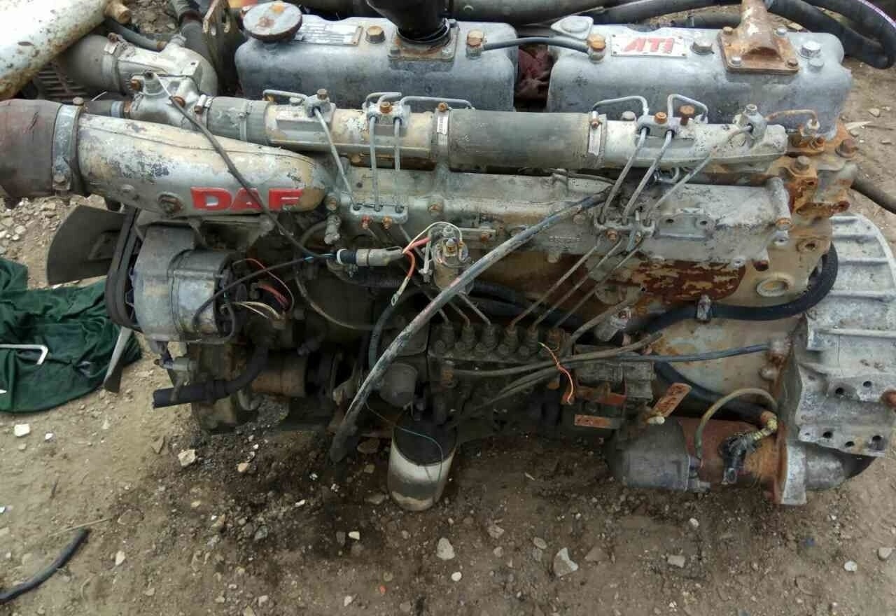 DAF ATI WS259 E2 DAF - מנוע עבור משאית: תמונה 1 DAF ATI WS259 E2 DAF - מנוע עבור משאית: תמונה 1