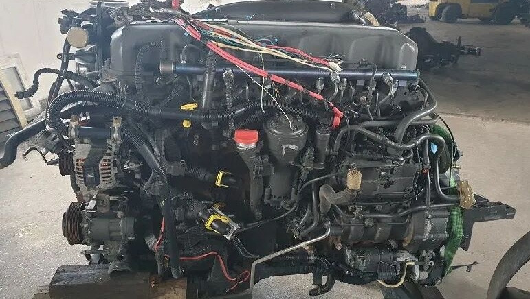 DAF MX340H1 DAF XF106 truck - מנוע עבור משאית: תמונה 3 DAF MX340H1 DAF XF106 truck - מנוע עבור משאית: תמונה 3