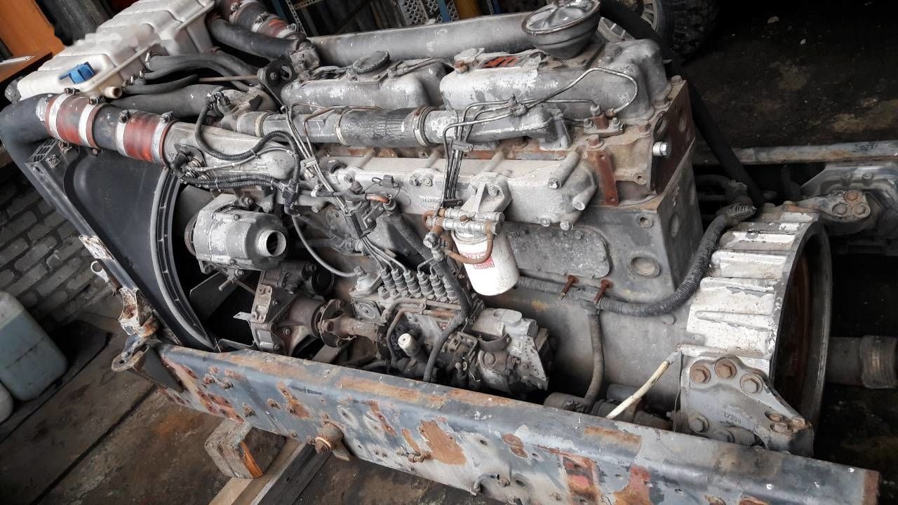 DAF WS268G DAF 95 85 - מנוע עבור משאית: תמונה 3 DAF WS268G DAF 95 85 - מנוע עבור משאית: תמונה 3