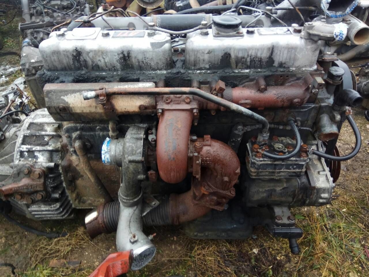 DAF ATI WS268 DAF ATI DAF 85 95 - מנוע עבור משאית: תמונה 2 DAF ATI WS268 DAF ATI DAF 85 95 - מנוע עבור משאית: תמונה 2