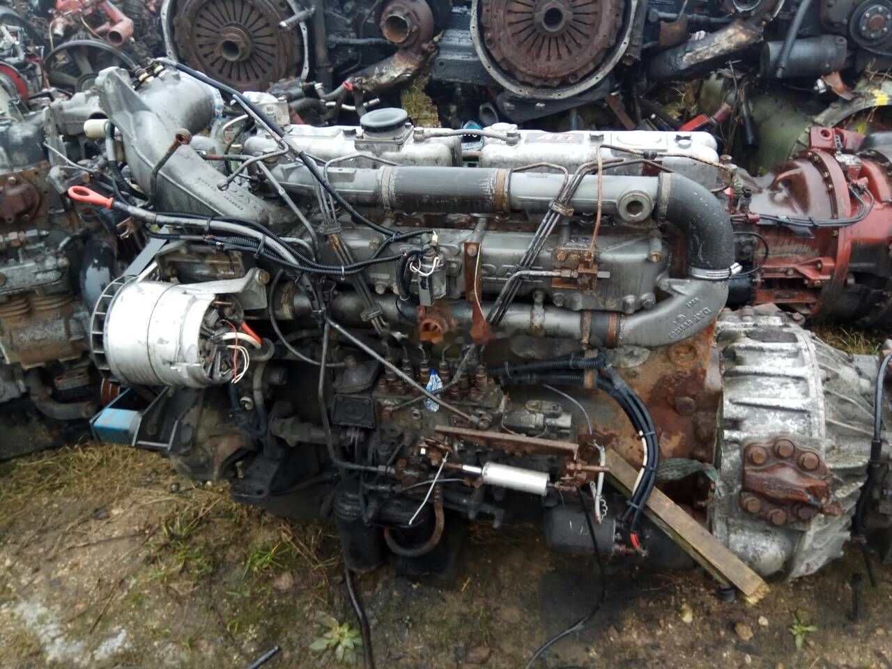 DAF ATI WS268 DAF ATI DAF 85 95 - מנוע עבור משאית: תמונה 1 DAF ATI WS268 DAF ATI DAF 85 95 - מנוע עבור משאית: תמונה 1