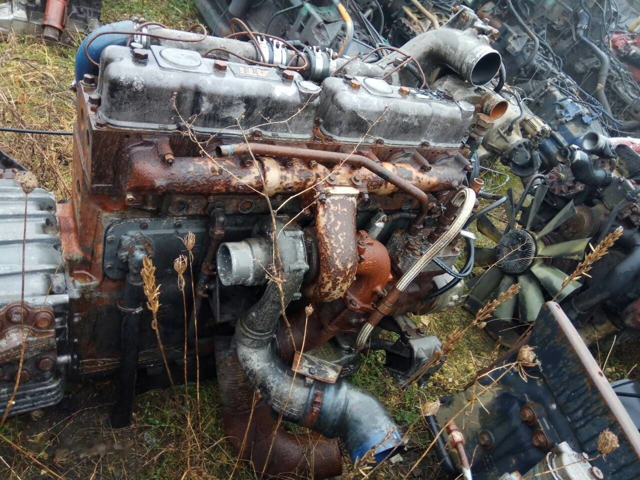 DAF ATI WS315M DAF 95 - מנוע עבור משאית: תמונה 3 DAF ATI WS315M DAF 95 - מנוע עבור משאית: תמונה 3