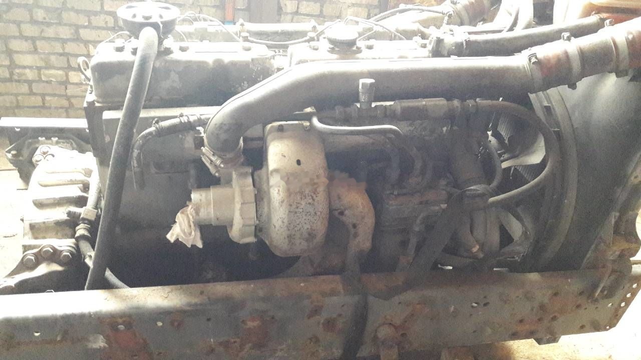 DAF WS268G DAF 95 85 - מנוע עבור משאית: תמונה 2 DAF WS268G DAF 95 85 - מנוע עבור משאית: תמונה 2