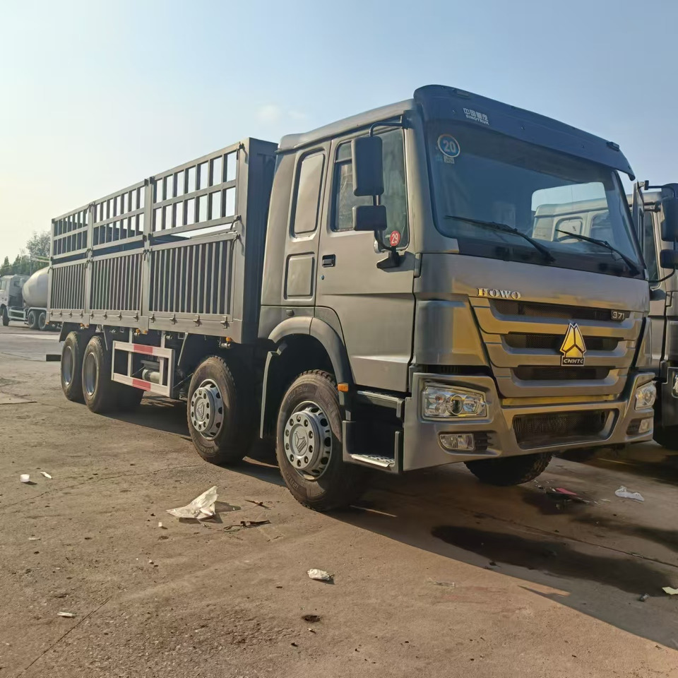 HOWO Flatform Cargo Truck 371HP Click for Discount - כלי רכב מסחרי במיטה שטוחה: תמונה 2 HOWO Flatform Cargo Truck 371HP Click for Discount - כלי רכב מסחרי במיטה שטוחה: תמונה 2