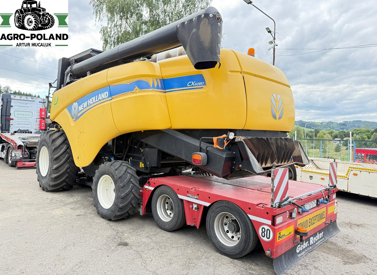 NEW HOLLAND CX 6080 - 2114/2777 h - 2014 ROK + VARIFEED 6,09 M - מקצרת קומבינה: תמונה 2 NEW HOLLAND CX 6080 - 2114/2777 h - 2014 ROK + VARIFEED 6,09 M - מקצרת קומבינה: תמונה 2