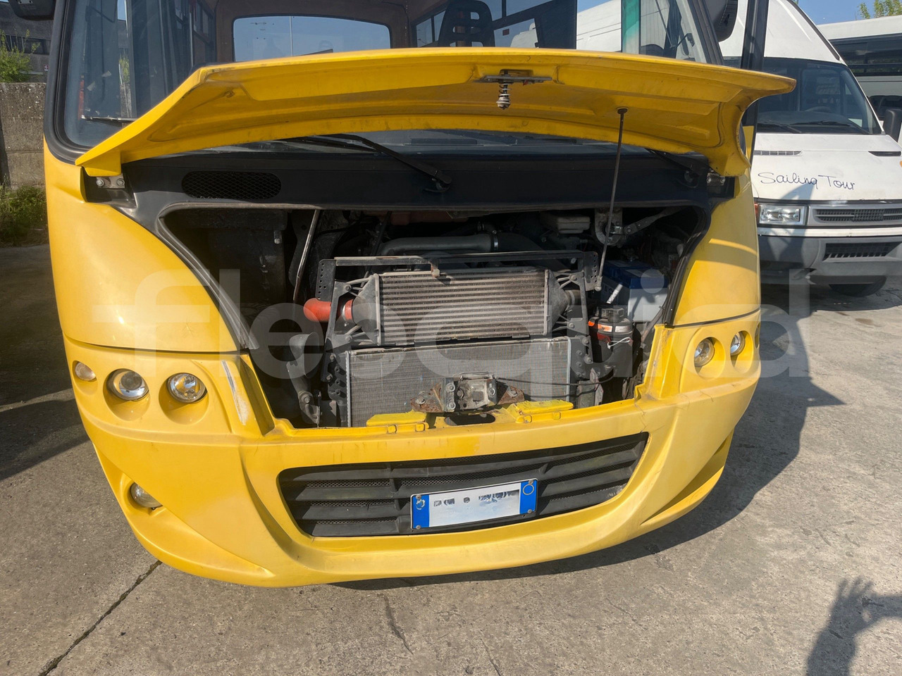 אוטובוס בית ספר Iveco Cacciamali: תמונה 16