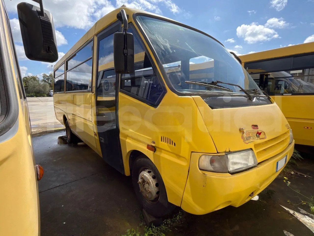 Iveco Cacciamali - אוטובוס בית ספר: תמונה 2 Iveco Cacciamali - אוטובוס בית ספר: תמונה 2