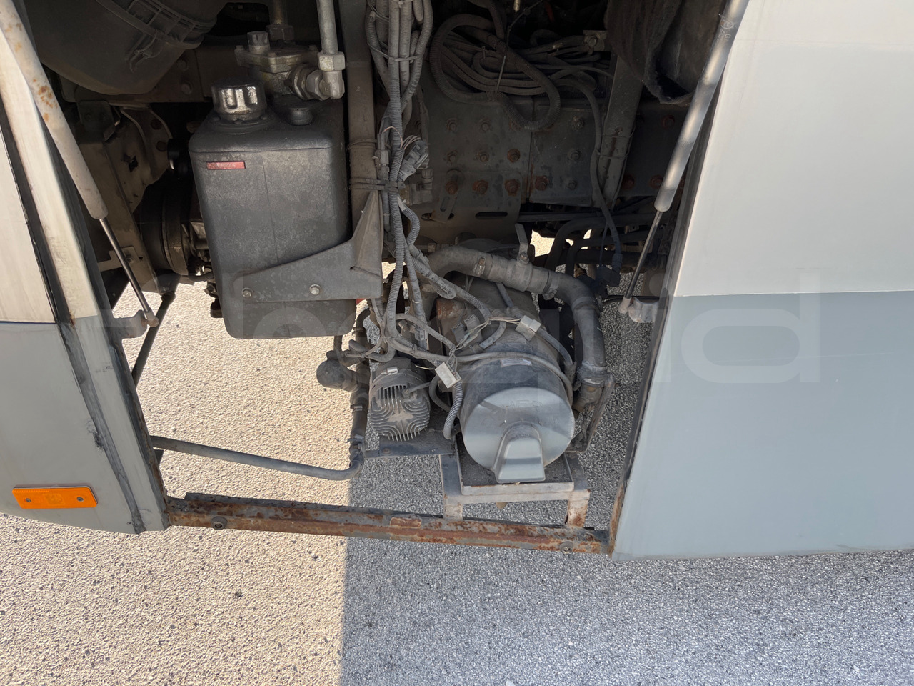 הַחכָּרָה  Man Lion's Classic Man Lion's Classic: תמונה 19