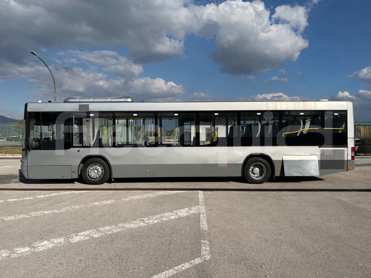 הַחכָּרָה  Man Lion's Classic Man Lion's Classic: תמונה 6