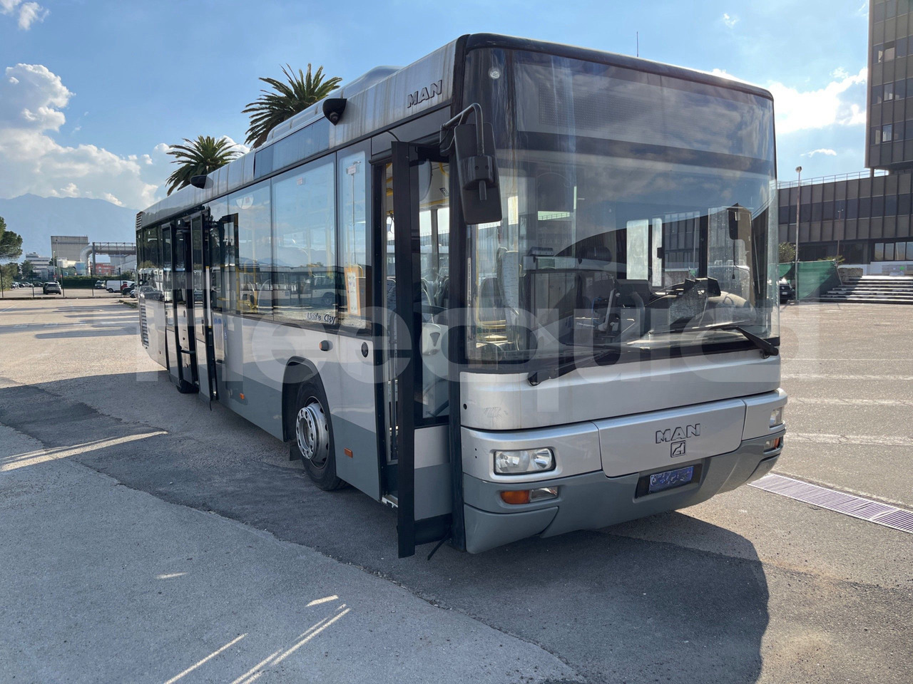 הַחכָּרָה  Man Lion's Classic Man Lion's Classic: תמונה 10