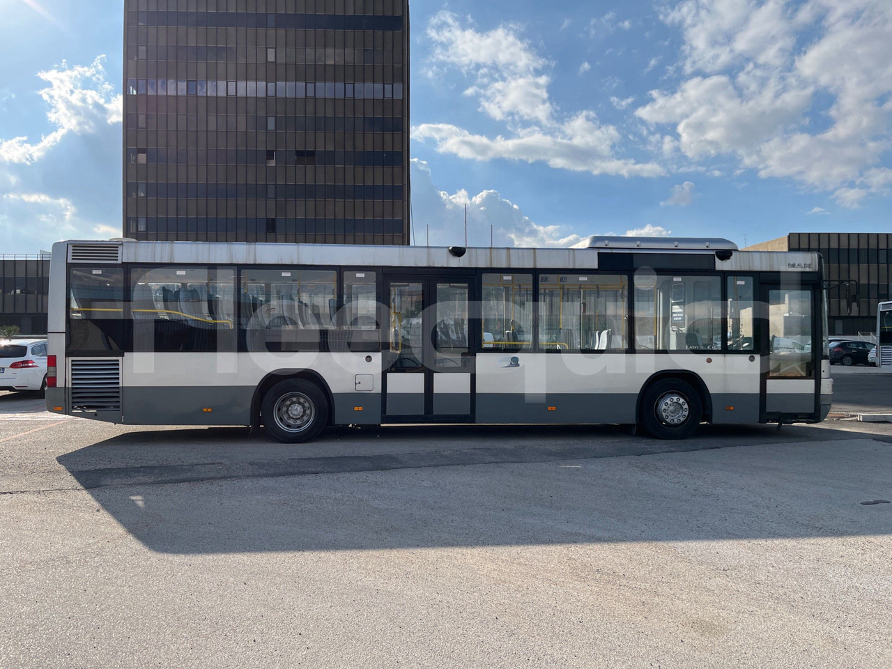 הַחכָּרָה  Man Lion's Classic Man Lion's Classic: תמונה 11