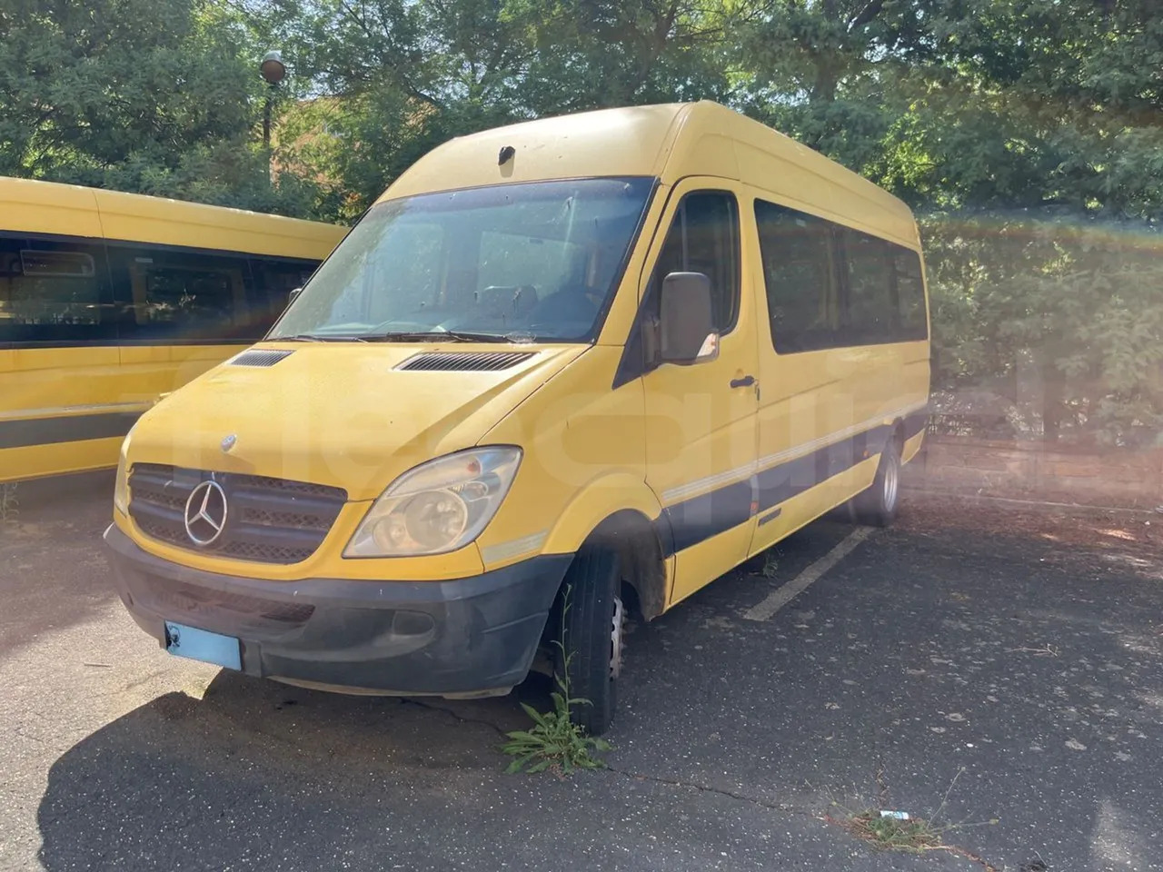 Mercedes-Benz Sprinter - אוטובוס בית ספר: תמונה 4 Mercedes-Benz Sprinter - אוטובוס בית ספר: תמונה 4