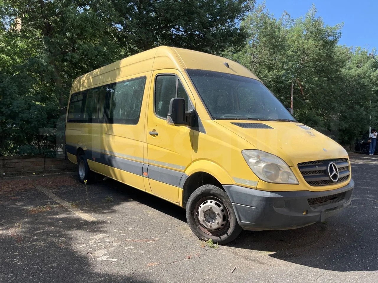 Mercedes-Benz Sprinter - אוטובוס בית ספר: תמונה 1 Mercedes-Benz Sprinter - אוטובוס בית ספר: תמונה 1