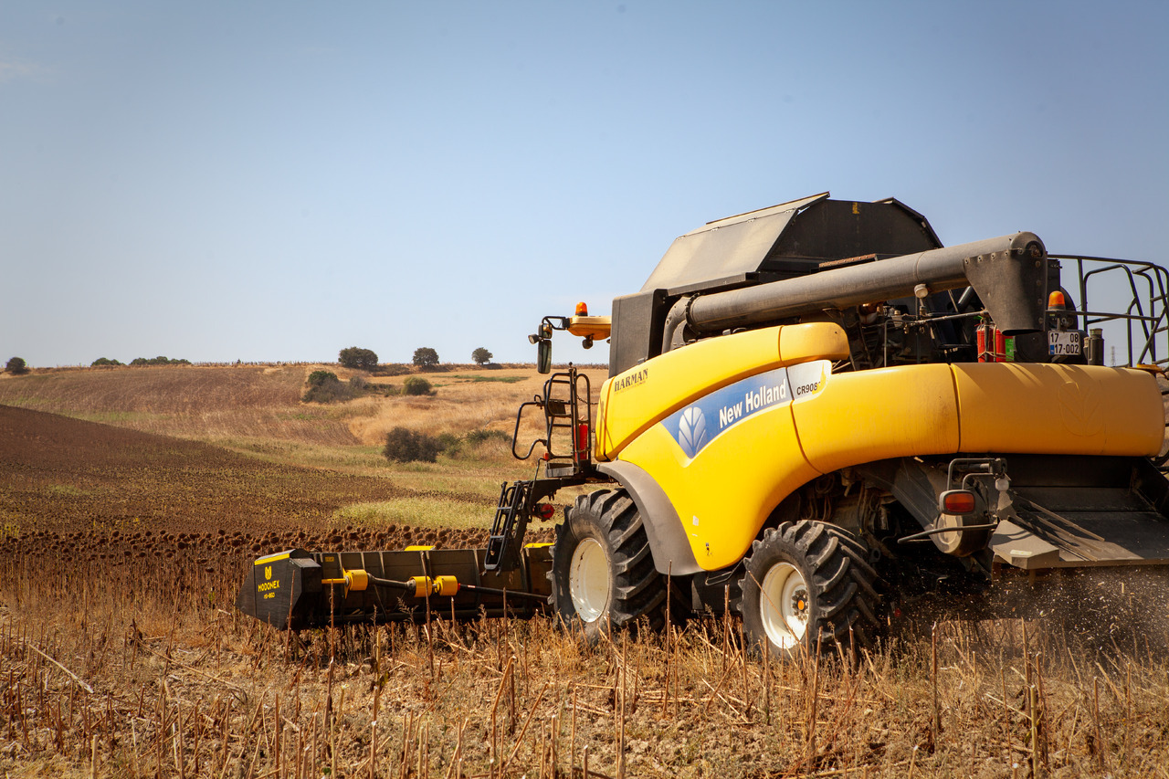 Modonex MX-630 - ראש חמניה: תמונה 3 Modonex MX-630 - ראש חמניה: תמונה 3