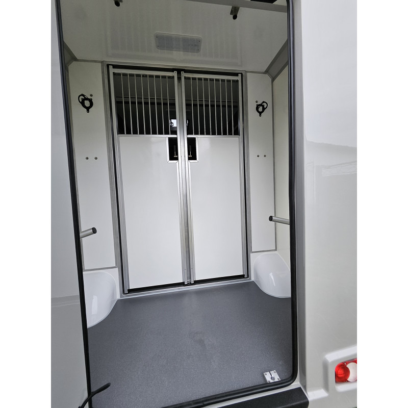 Opel Movano AKX by Stephex - משאית סוסים: תמונה 4 Opel Movano AKX by Stephex - משאית סוסים: תמונה 4