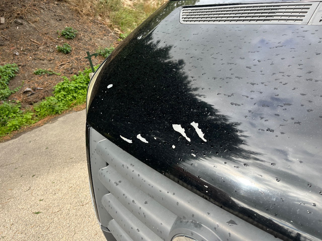 Volkswagen Crafter - כלי רכב מסחרי עם לוח: תמונה 5 Volkswagen Crafter - כלי רכב מסחרי עם לוח: תמונה 5