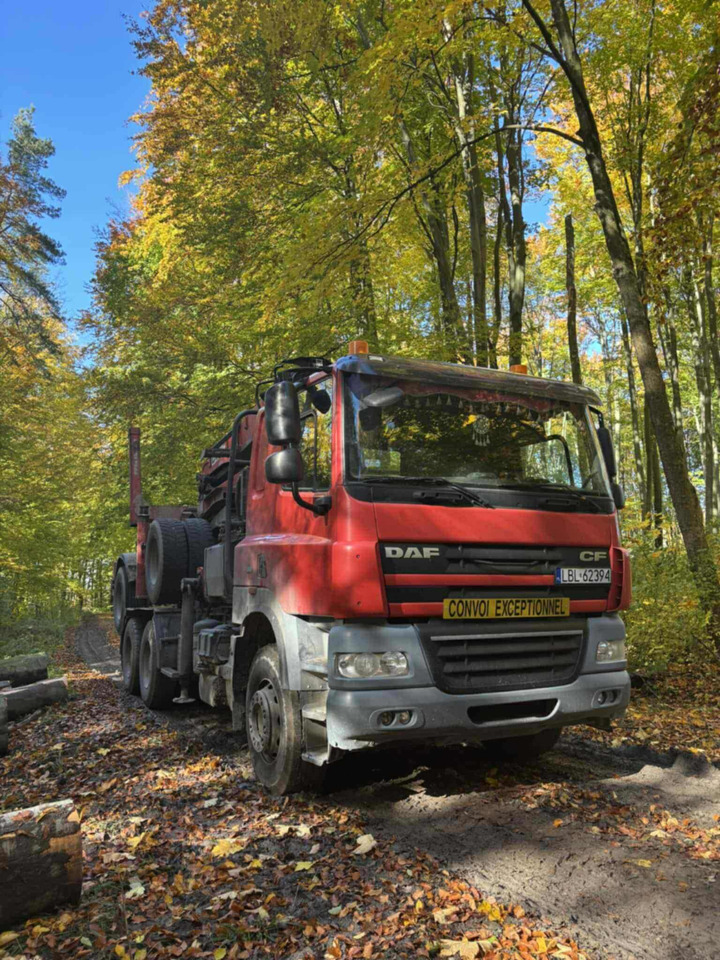 DAF CF510 - משאית עץ, משאית מנוף: תמונה 1 DAF CF510 - משאית עץ, משאית מנוף: תמונה 1