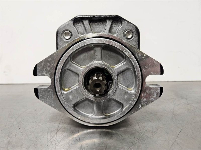 Kaweco KW25-Bondioli & Pavesi HPLPA217DSVG6G4B00-Gearpump - חלקי הידרוליקה עבור מכונת בנייה: תמונה 4 Kaweco KW25-Bondioli & Pavesi HPLPA217DSVG6G4B00-Gearpump - חלקי הידרוליקה עבור מכונת בנייה: תמונה 4