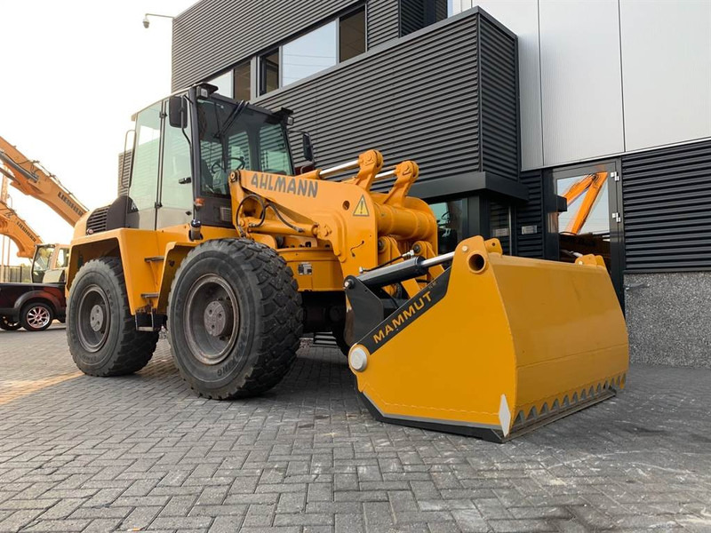 MAMMUT SB 195 M - Silage cutter/Silageschneider - ציוד צמחי: תמונה 2 MAMMUT SB 195 M - Silage cutter/Silageschneider - ציוד צמחי: תמונה 2