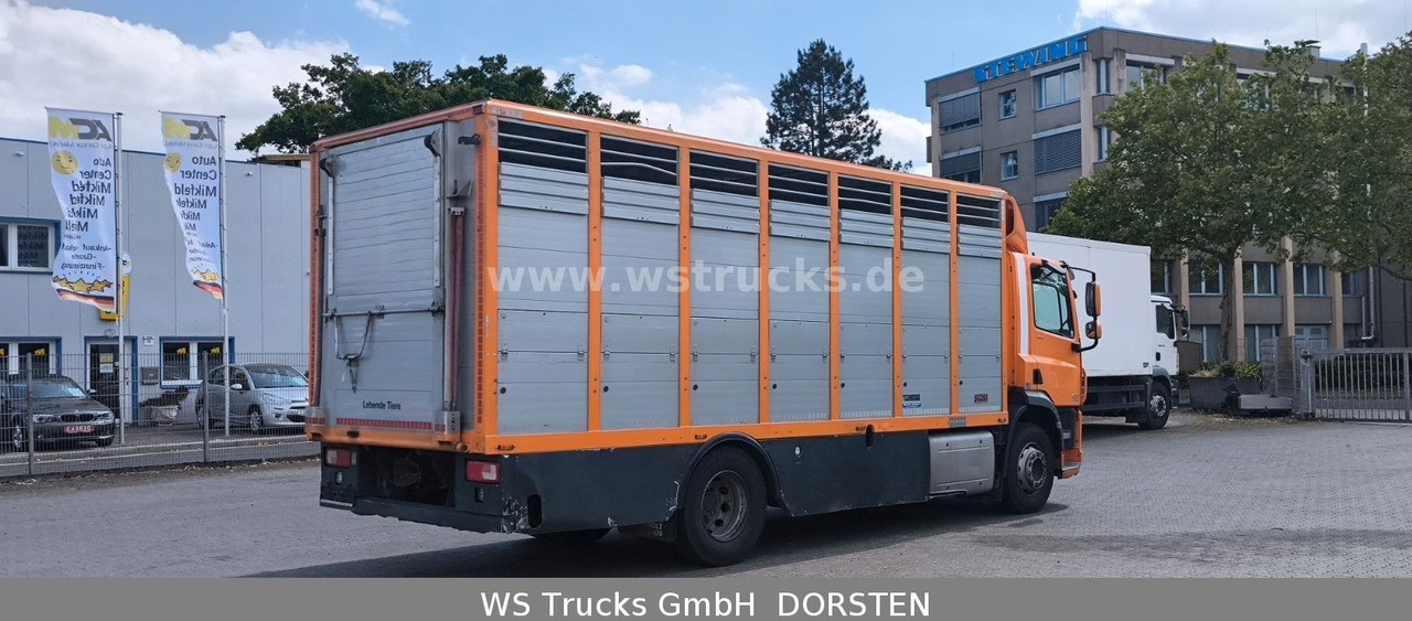 DAF CF 400 Menke Einstock Viehtransporter - משאית סוסים: תמונה 5 DAF CF 400 Menke Einstock Viehtransporter - משאית סוסים: תמונה 5