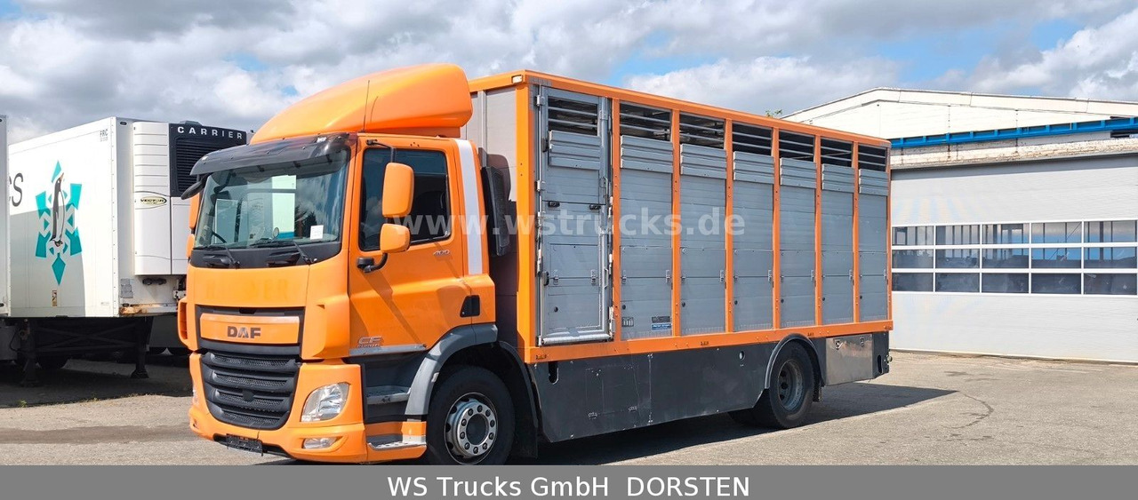 DAF CF 400 Menke Einstock - משאית סוסים: תמונה 3 DAF CF 400 Menke Einstock - משאית סוסים: תמונה 3