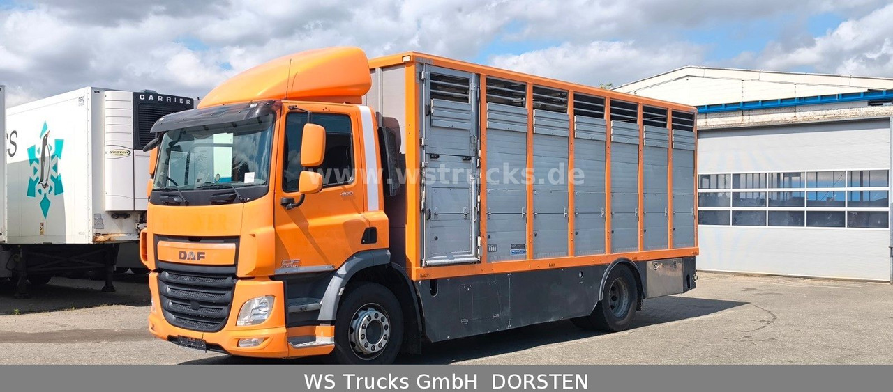 DAF CF 400 Menke Einstock - משאית סוסים: תמונה 2 DAF CF 400 Menke Einstock - משאית סוסים: תמונה 2