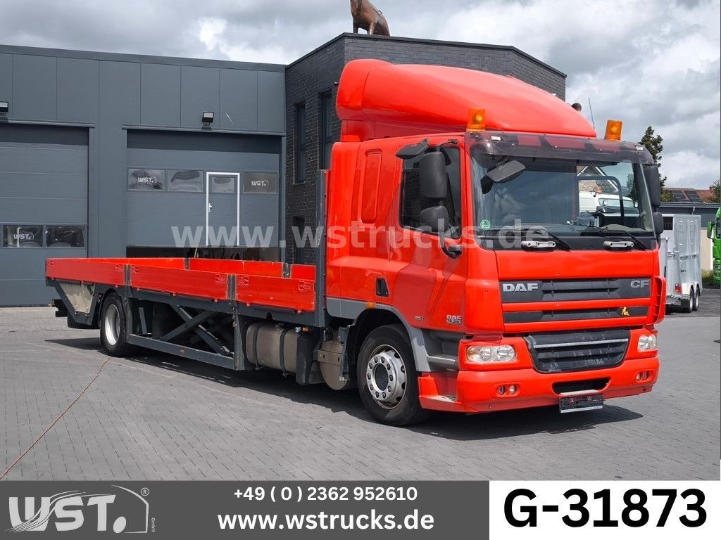 DAF CF 75 360 Spezial Radmulden 9,00 m Tielader - משאית הובלה אוטומטית: תמונה 1 DAF CF 75 360 Spezial Radmulden 9,00 m Tielader - משאית הובלה אוטומטית: תמונה 1