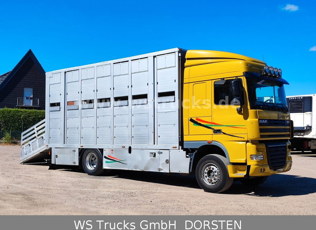 DAF XF 410 SC Menke Doppelstock - משאית סוסים: תמונה 5 DAF XF 410 SC Menke Doppelstock - משאית סוסים: תמונה 5