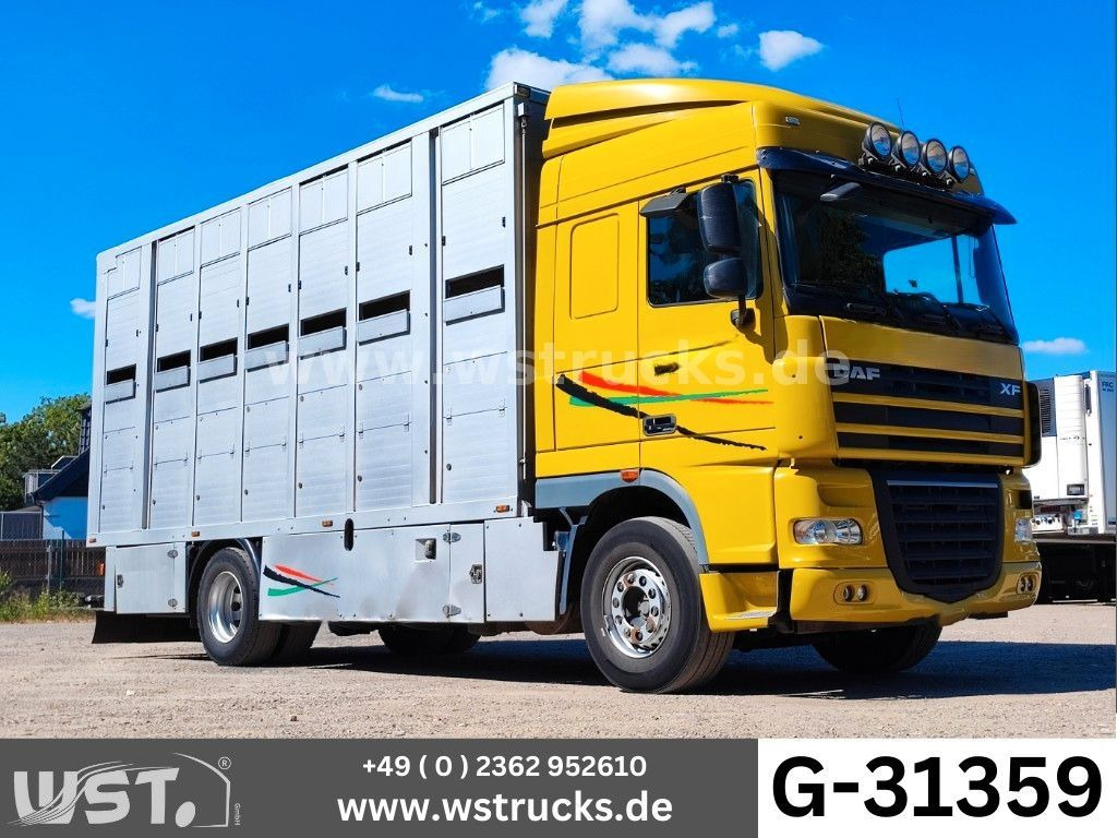 DAF XF 410 SC Menke Doppelstock - משאית סוסים: תמונה 1 DAF XF 410 SC Menke Doppelstock - משאית סוסים: תמונה 1