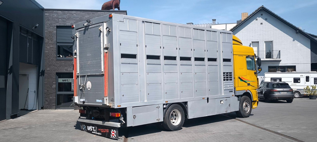 DAF XF 410 SC Menke Doppelstock - משאית סוסים: תמונה 3 DAF XF 410 SC Menke Doppelstock - משאית סוסים: תמונה 3