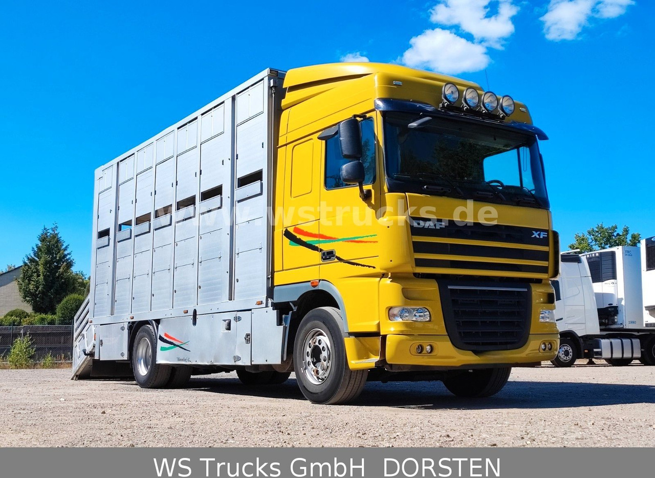 DAF XF 410 SC Menke Doppelstock - משאית סוסים: תמונה 4 DAF XF 410 SC Menke Doppelstock - משאית סוסים: תמונה 4