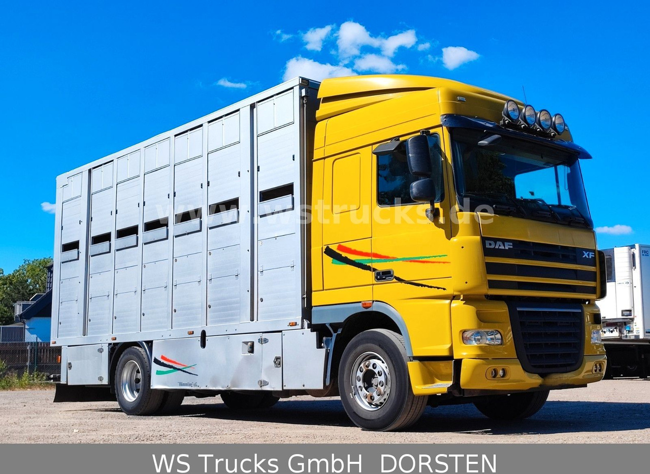 DAF XF 410 SC Menke Doppelstock - משאית סוסים: תמונה 2 DAF XF 410 SC Menke Doppelstock - משאית סוסים: תמונה 2