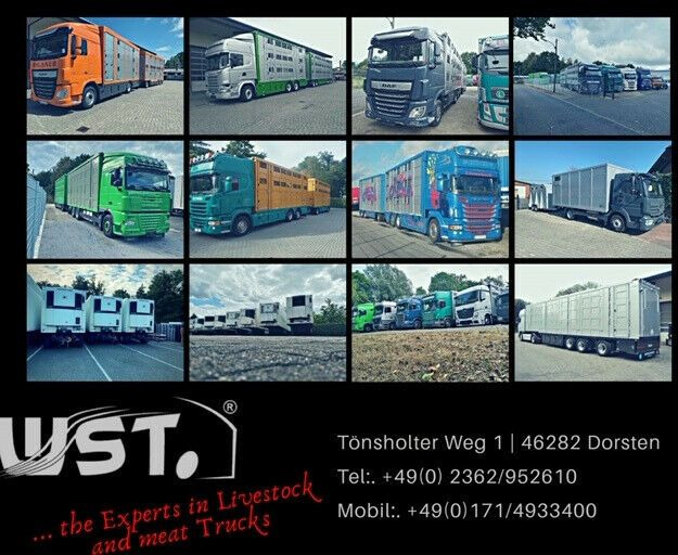 קרון נגרר עם קירור Getränke  WST Edition 1500 Small 2.5x1.5x1.9: תמונה 17