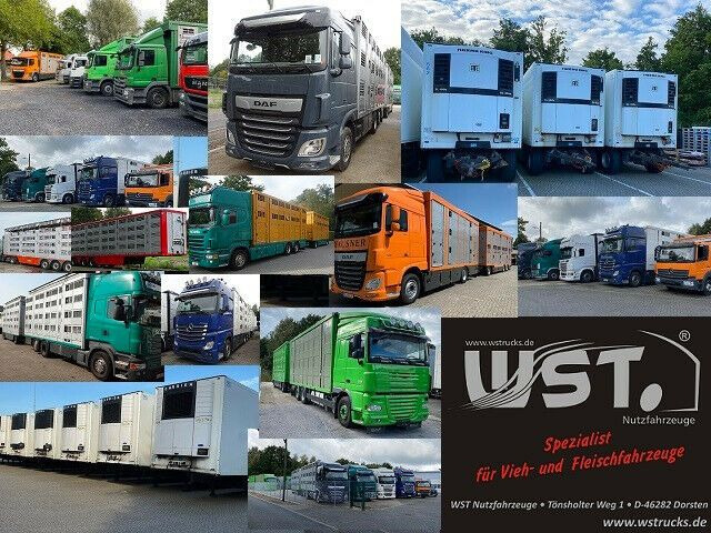 קרון נגרר עם קירור Getränke  WST Edition 1500 Small 2.5x1.5x1.9: תמונה 15