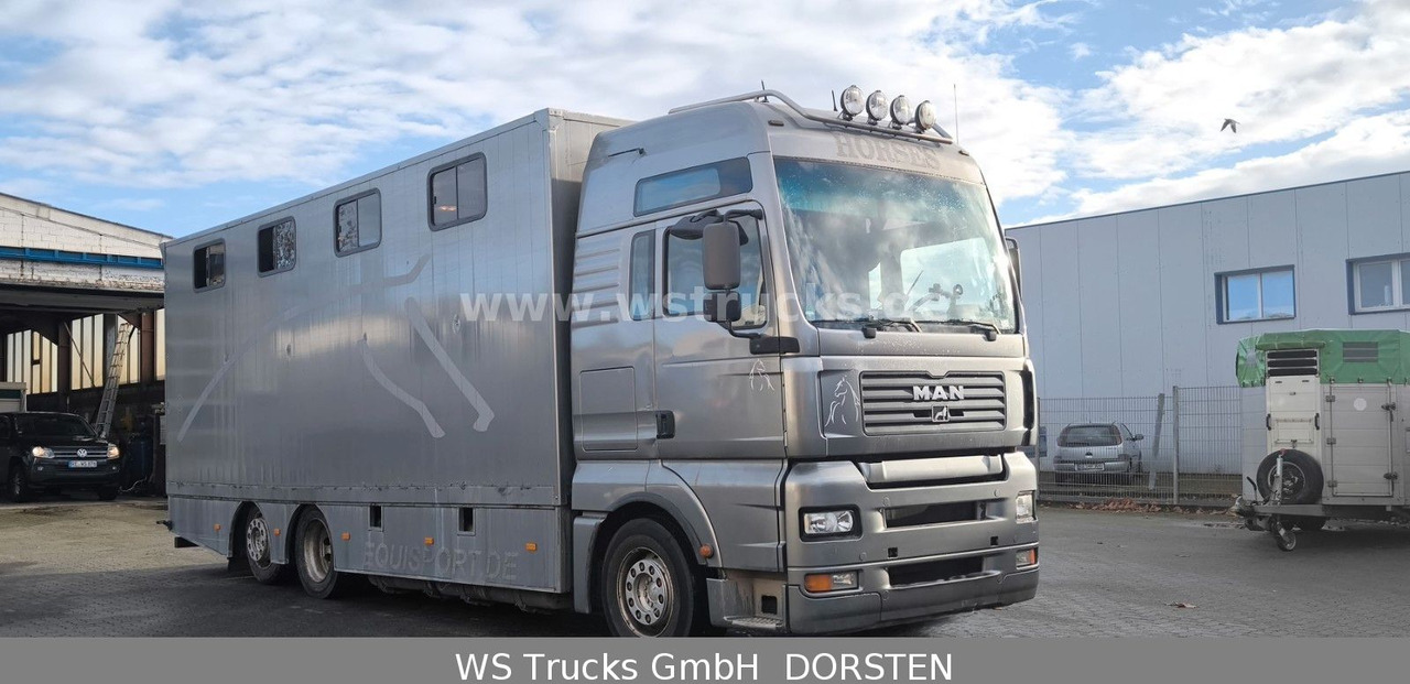 MAN TGA 26.480 FG 6x2 Pferdetransporter Luft/Luft - משאית סוסים: תמונה 3 MAN TGA 26.480 FG 6x2 Pferdetransporter Luft/Luft - משאית סוסים: תמונה 3