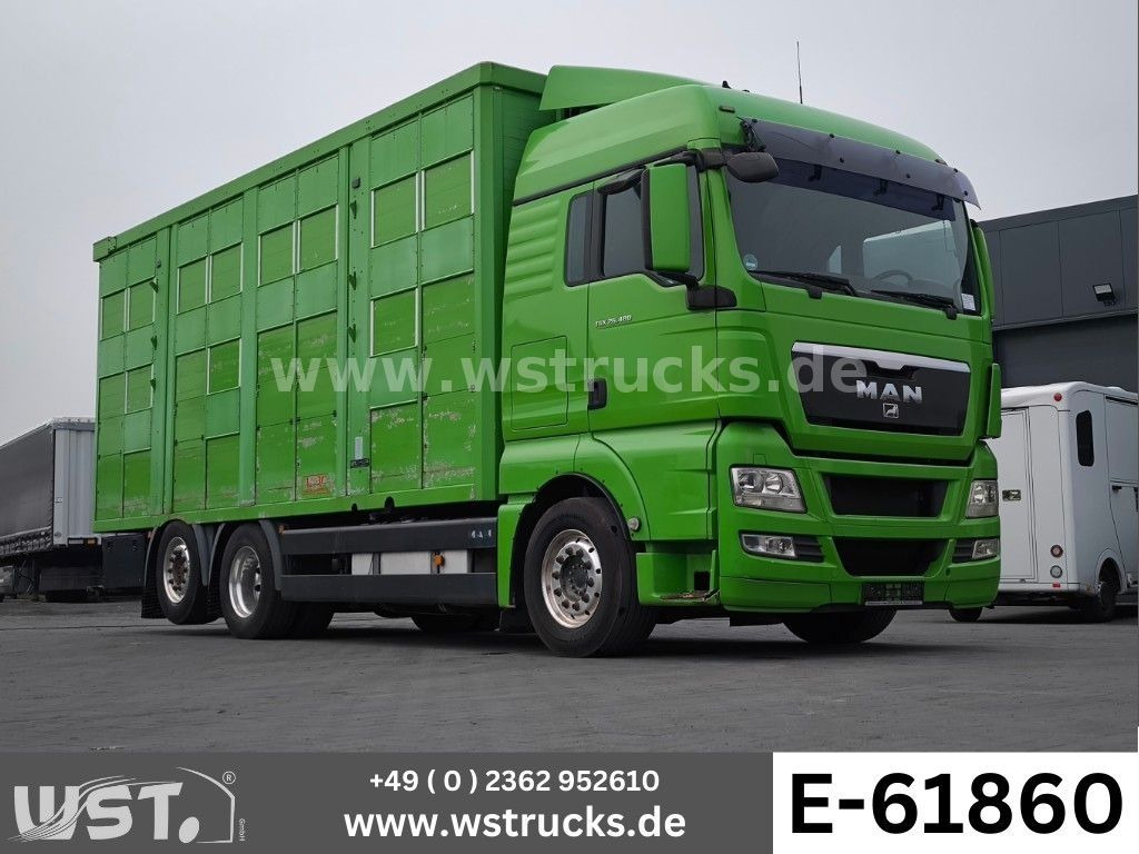 MAN TGX 26.480 XL KABA 3 Stock Viehtransporter - משאית סוסים: תמונה 1 MAN TGX 26.480 XL KABA 3 Stock Viehtransporter - משאית סוסים: תמונה 1