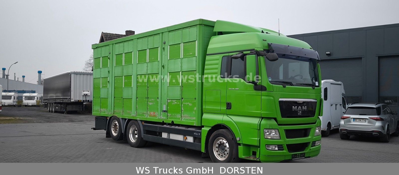 MAN TGX 26.480 XL KABA 3 Stock Vollalu - משאית סוסים: תמונה 3 MAN TGX 26.480 XL KABA 3 Stock Vollalu - משאית סוסים: תמונה 3