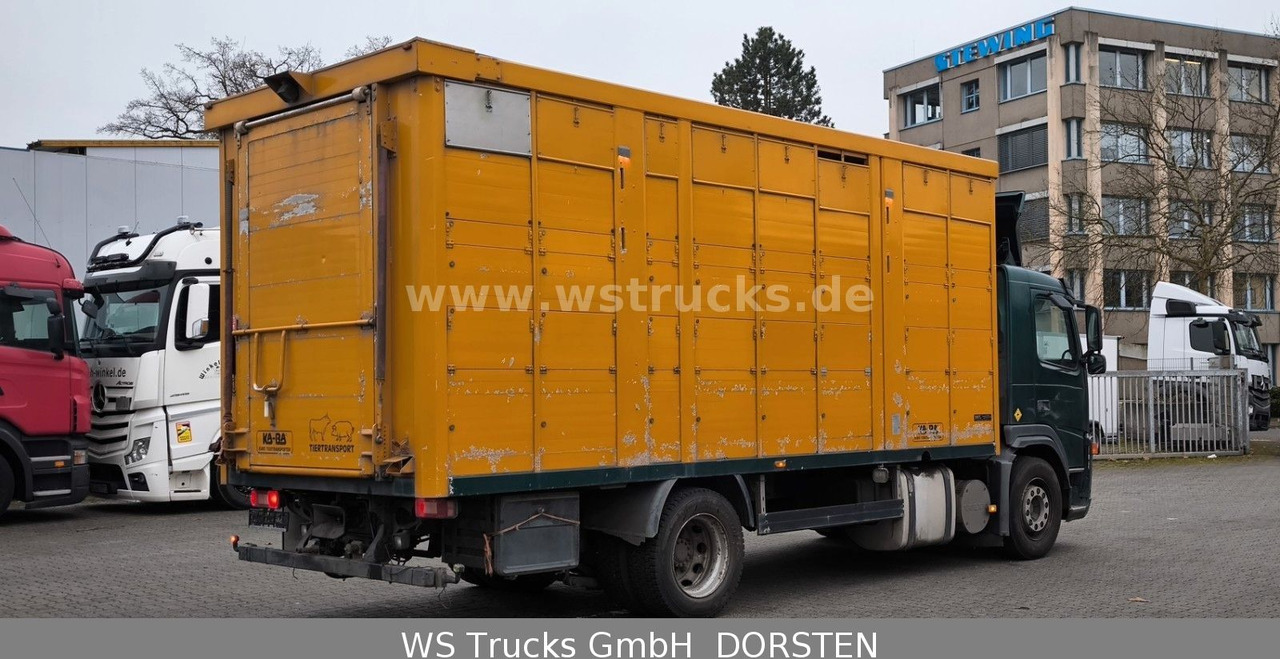 Volvo FM 260 mit KABA 2 Stock Vollalu Viehtransporter - משאית סוסים: תמונה 4 Volvo FM 260 mit KABA 2 Stock Vollalu Viehtransporter - משאית סוסים: תמונה 4