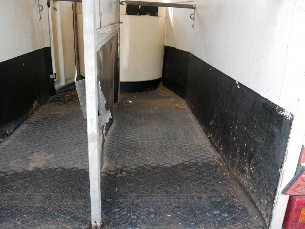 Westfalia Vollpoly 2 Pferde mit Sattelkammer - קרון נגרר לסוסים: תמונה 5 Westfalia Vollpoly 2 Pferde mit Sattelkammer - קרון נגרר לסוסים: תמונה 5