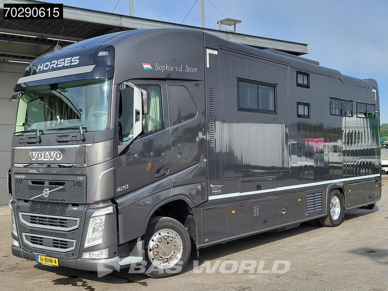 משאית סוסים Volvo FH 420 FH 4X2 NL-Truck Xenon Navi ACC Euro 6: תמונה 8