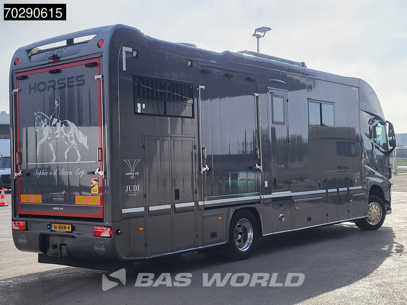 משאית סוסים Volvo FH 420 FH 4X2 NL-Truck Xenon Navi ACC Euro 6: תמונה 11