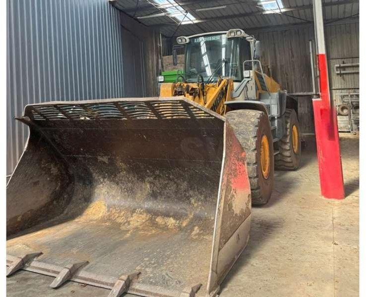 הַחכָּרָה Liebherr L576 Liebherr L576: תמונה 6