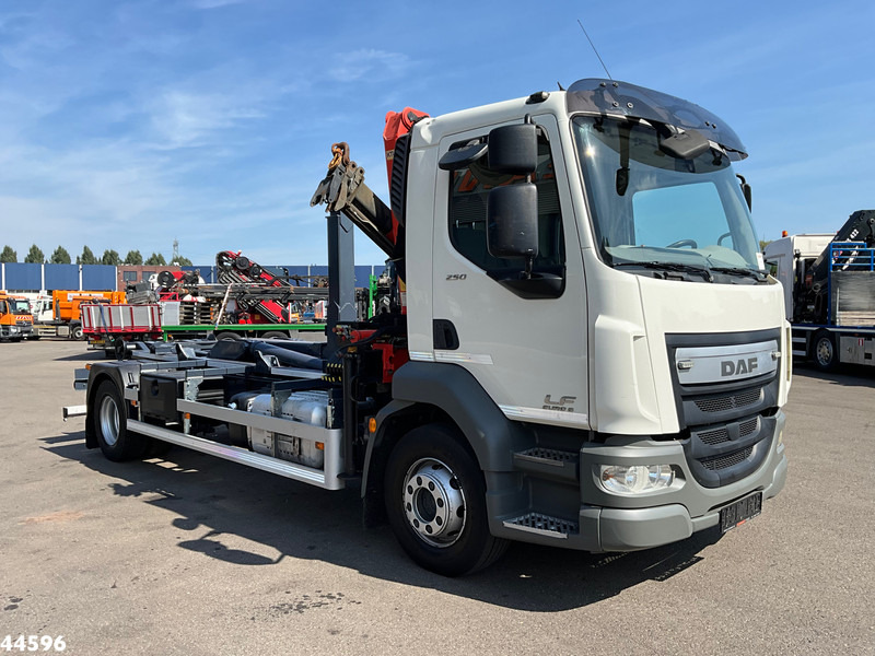 DAF FA LF 250 Euro 6 Palfinger 6,5 Tonmeter laadkraan - משאית הרמת וו, משאית מנוף: תמונה 3 DAF FA LF 250 Euro 6 Palfinger 6,5 Tonmeter laadkraan - משאית הרמת וו, משאית מנוף: תמונה 3